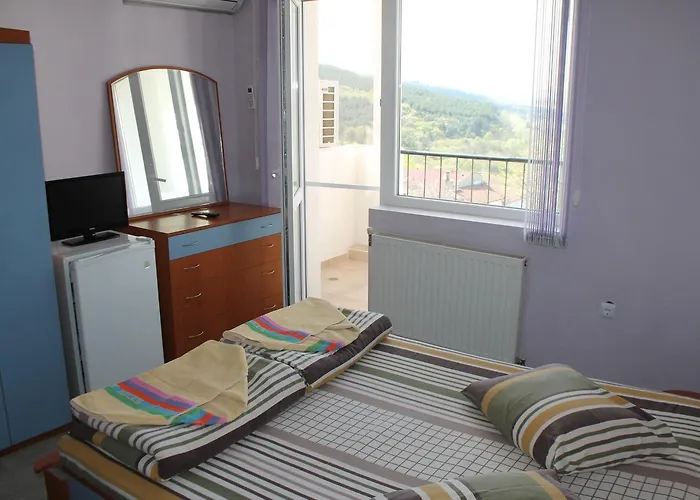 Family Ludo 瓦爾納